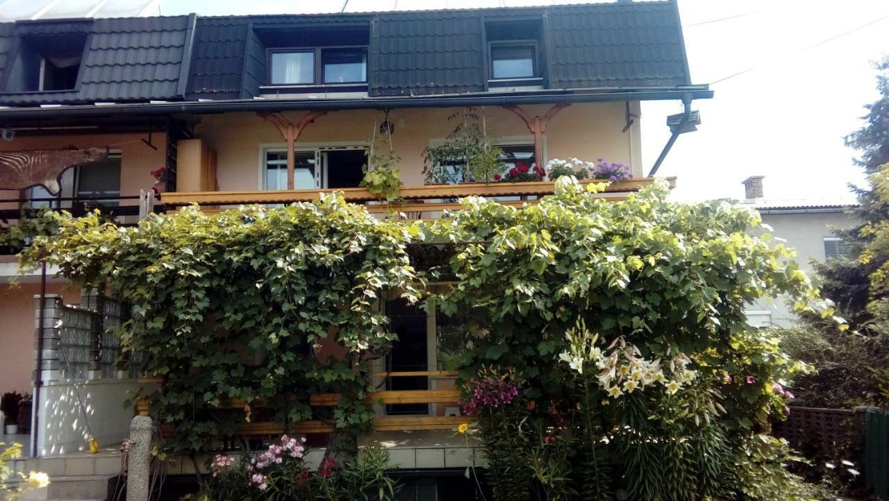 Apartma Meta Радовлица Экстерьер фото